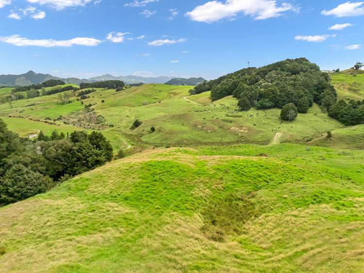 Hayward Road Maungakaramea_7