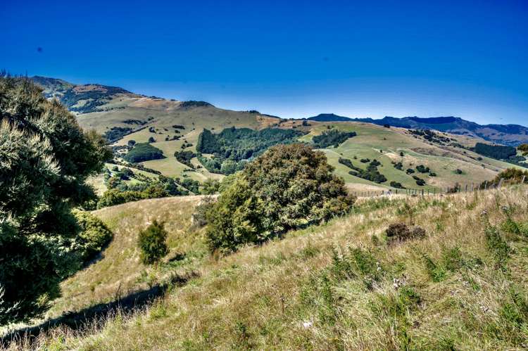 190 Okains Bay Road Robinsons Bay_9