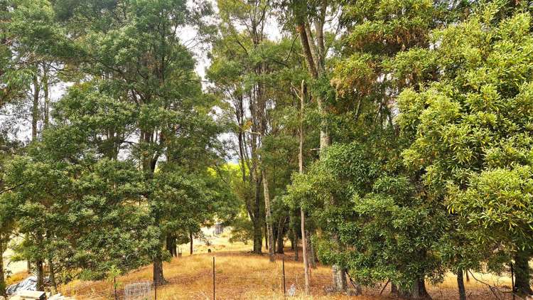 337 Old Coach Road Upper Moutere_6