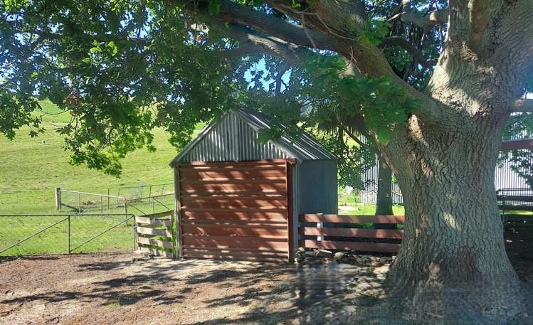 149 Teaneraki Road Windsor Park_16