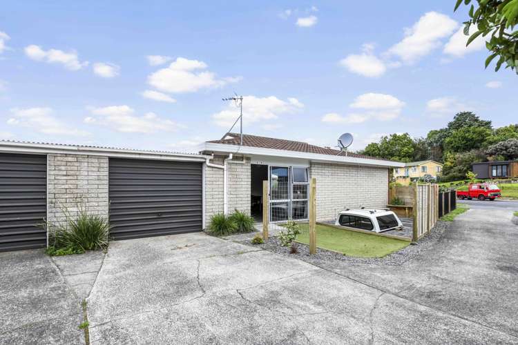 48a Livingstone Avenue Nawton_10