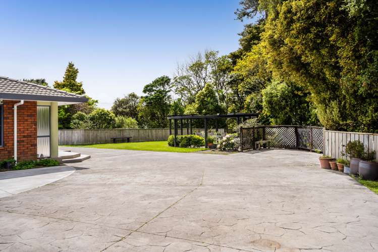 65 Rata Street Inglewood_3