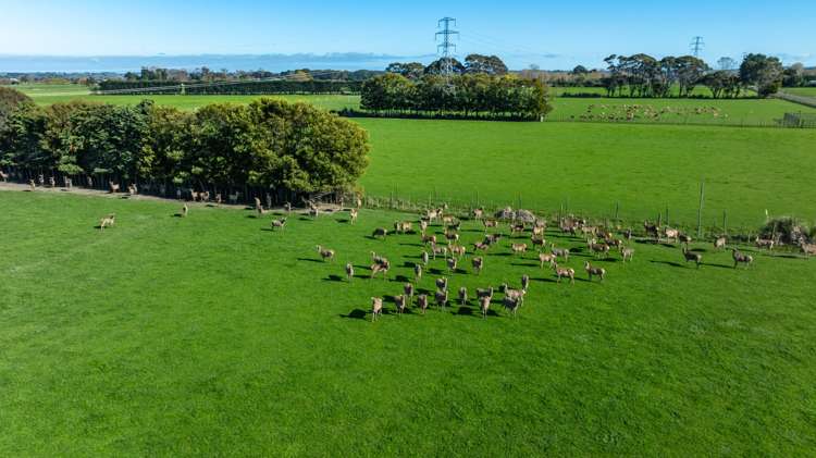 318 Aorangi Road Aorangi_5