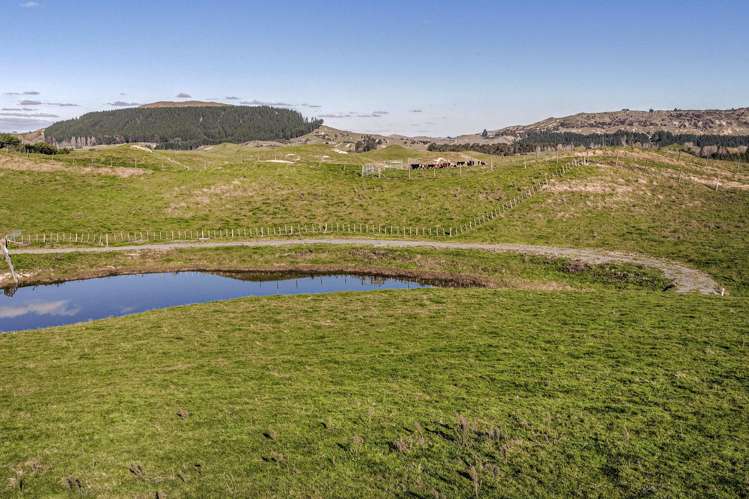 Lot Lot 3/2333 Puketitiri Road Rissington_4