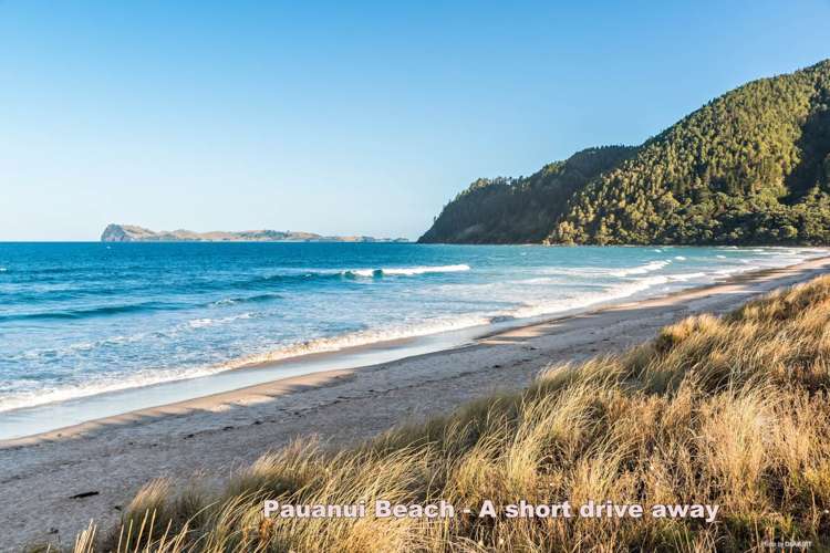 205 Hikuai School Road Hikuai_15