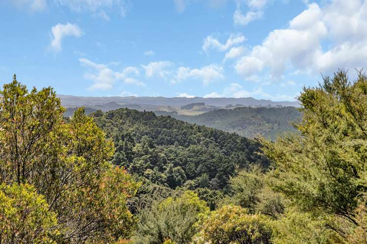 697 Mt Tiger Road Whareora_29