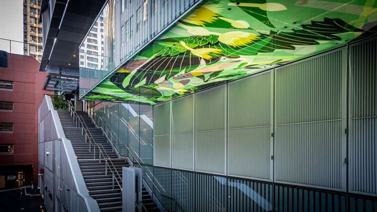 50 Albert Street Auckland Central_12