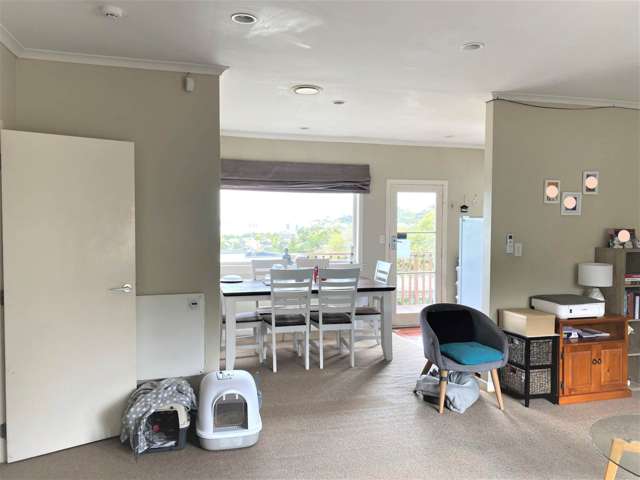 81 Carlton Street Hillsborough_4