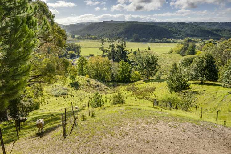 74 Kaimata Road Bay View_6