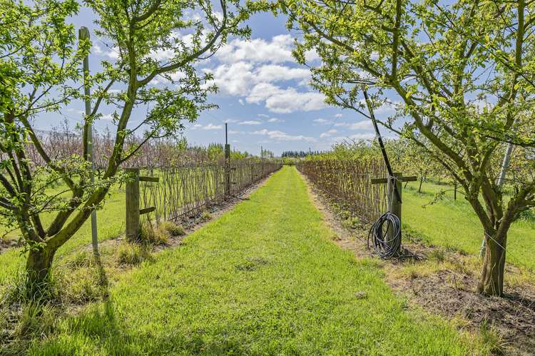 1520 Tram Road Swannanoa_24