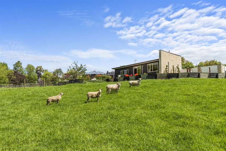 504 Thames Street Morrinsville_19