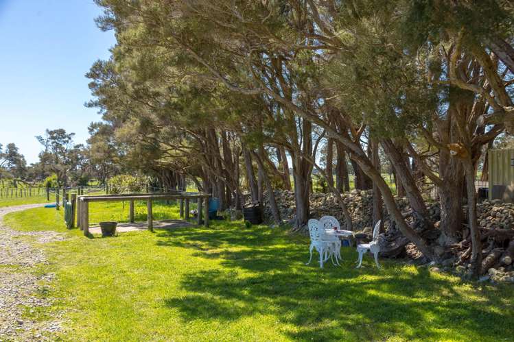 364 Wiltons Road West Taratahi_34