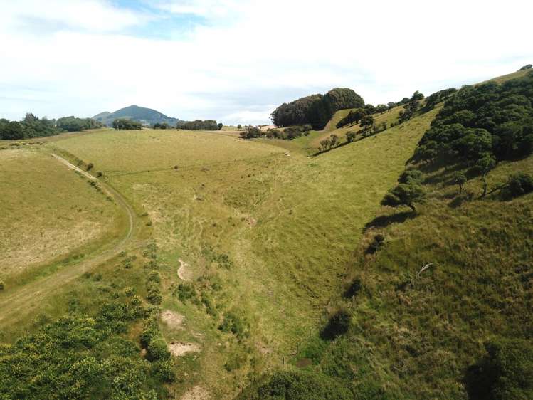 310 Blackhead Road Blackhead_9