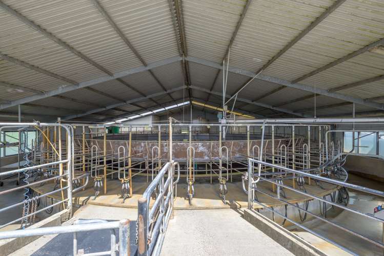 1217 Rangiotu Road Tiakitahuna_13