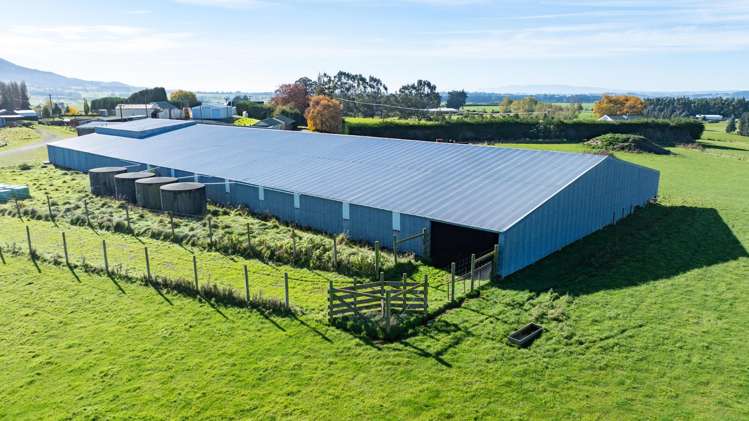 305C Waimumu Road Waimumu_16