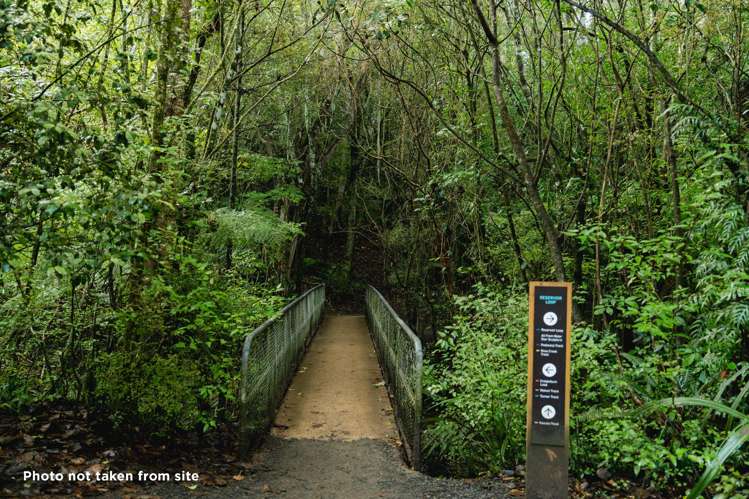 135 Shetland Street Wakari_22