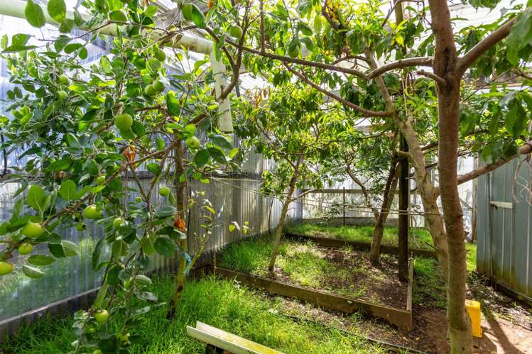 27 Robertshawe Crescent Dannevirke_39