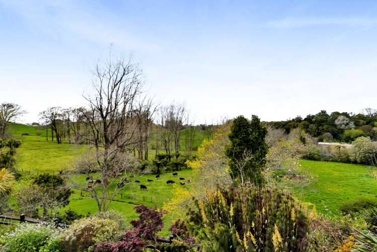 349 Tukapa Street Hurdon_7