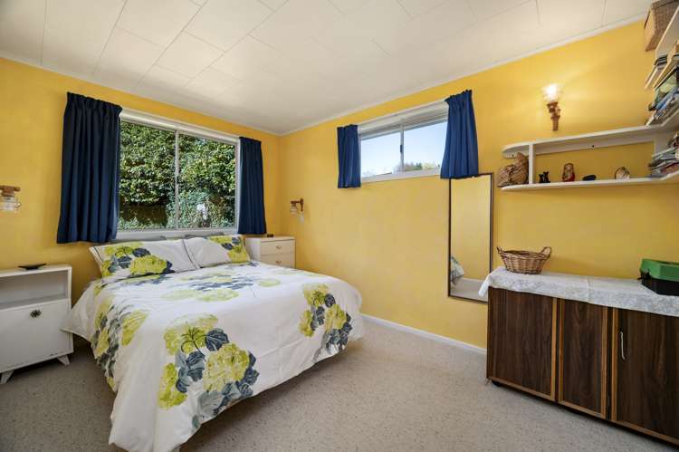 5 Douglas Street Springfield_9