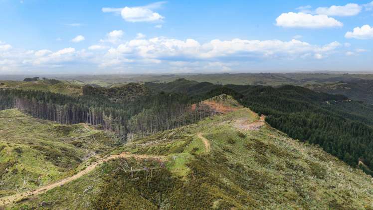 1335 Klondyke Road Port Waikato_5