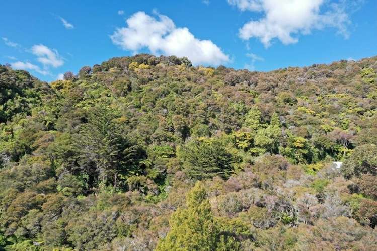 219 Parapara Valley Road Collingwood_7