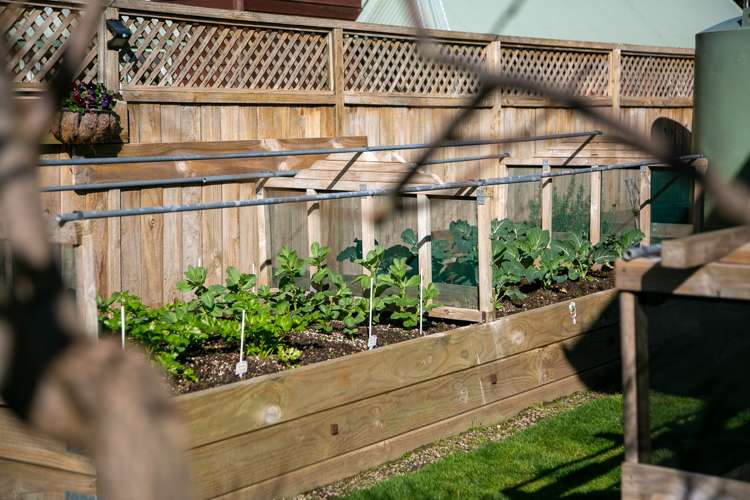 10 Fairburn Place Leamington_22