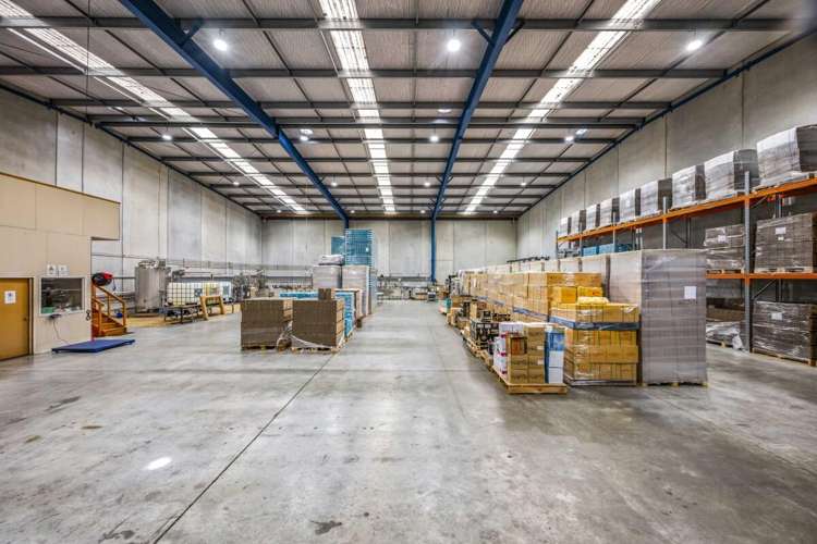 523 Rosebank Road Avondale_2