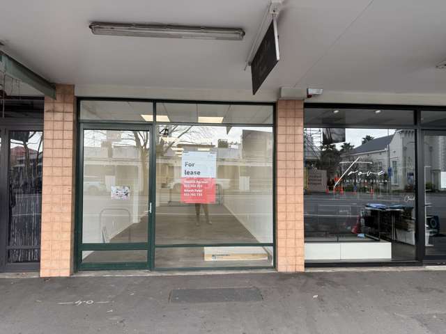 Ground/40 Jervois Road Ponsonby_1