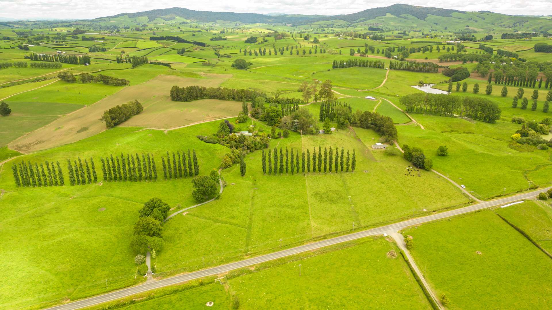 1768 Morrinsville Walton Road Matamata_0