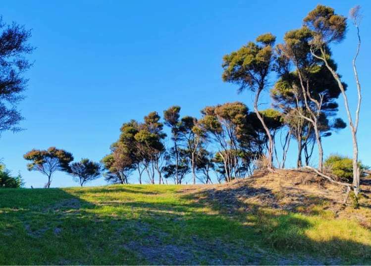 5 Kawau Lane Mangawhai Heads_6