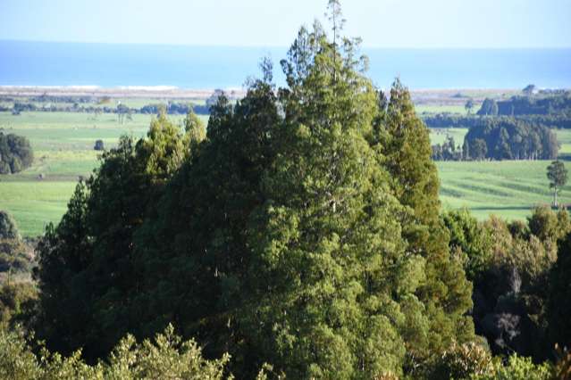 Lot 20 Sunset Heights Road Karamea_4