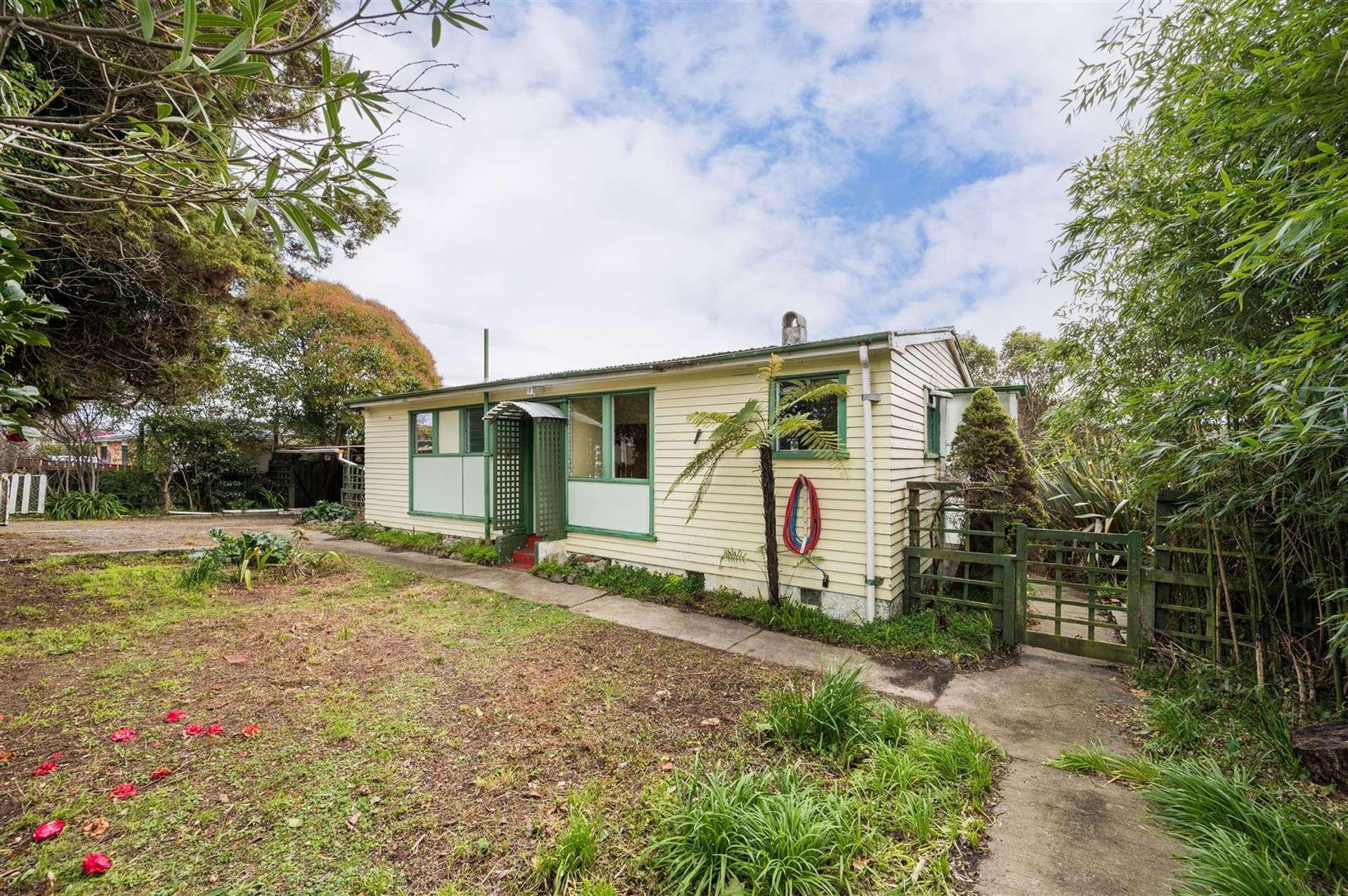 30 Nikau Street Stoke_0