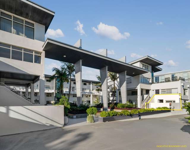 Y27/30 York Street Parnell_2