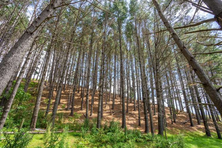 22 Timperley Road Parua Bay_30