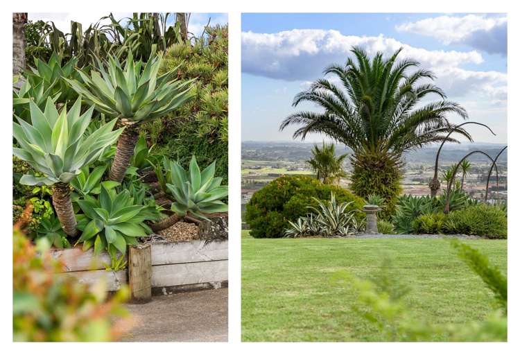 337 Macwhinney Drive Drury_26