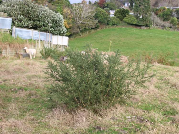 7 Grey Street Te Kuiti_4