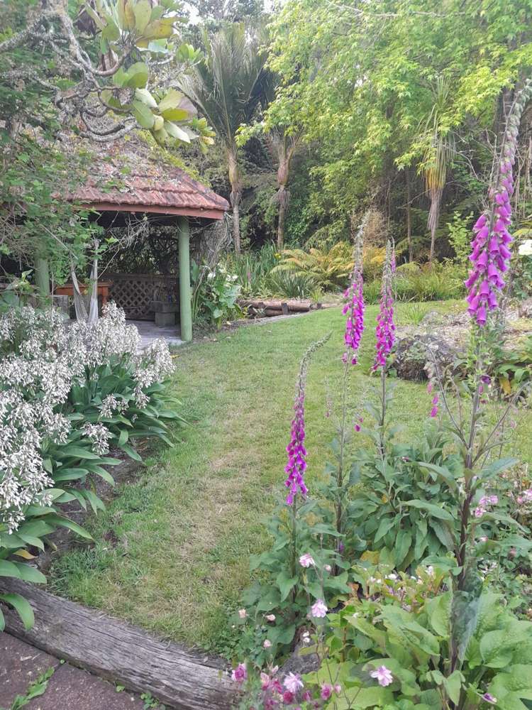 1157 Old North Road Helensville_44