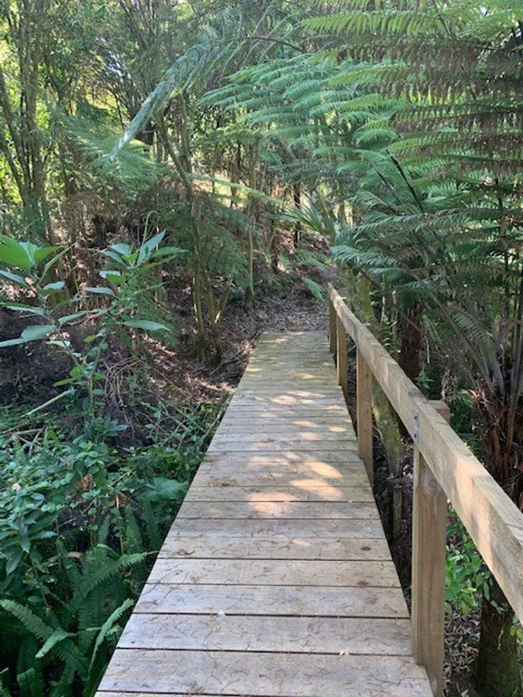 129 Bays Road Orere Point_3