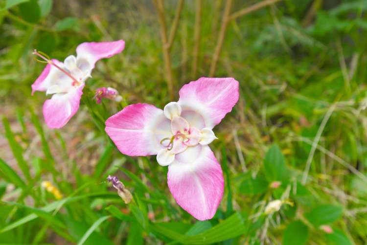 75 Liverpool Street Levin_26