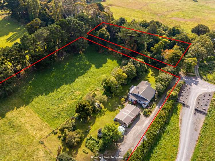 317 Wood Street Greytown_29