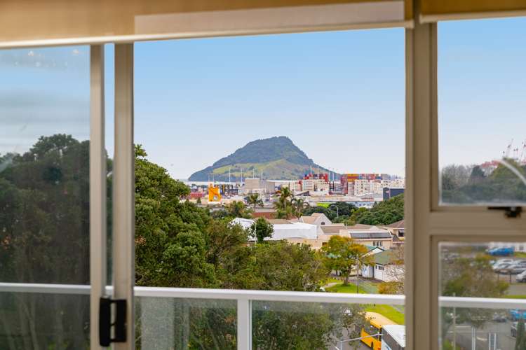22 Cliff Road Tauranga Central_8
