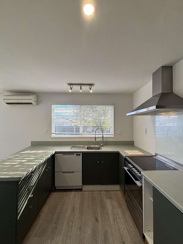 12 Taranui Place Bromley_1