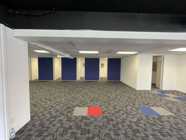 384 Manukau Road Epsom_5