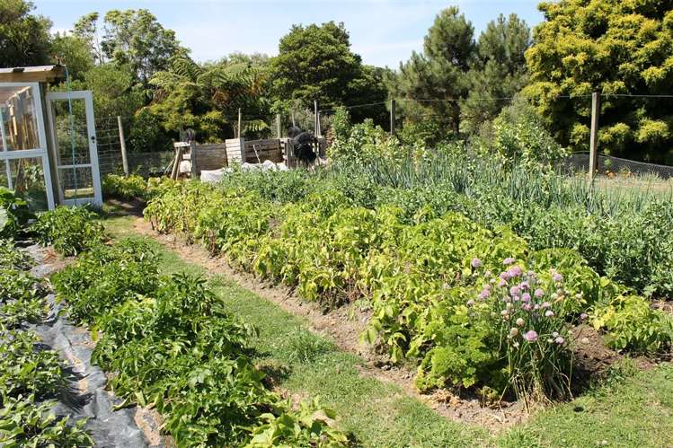 566 Rahui Road Otaki_32