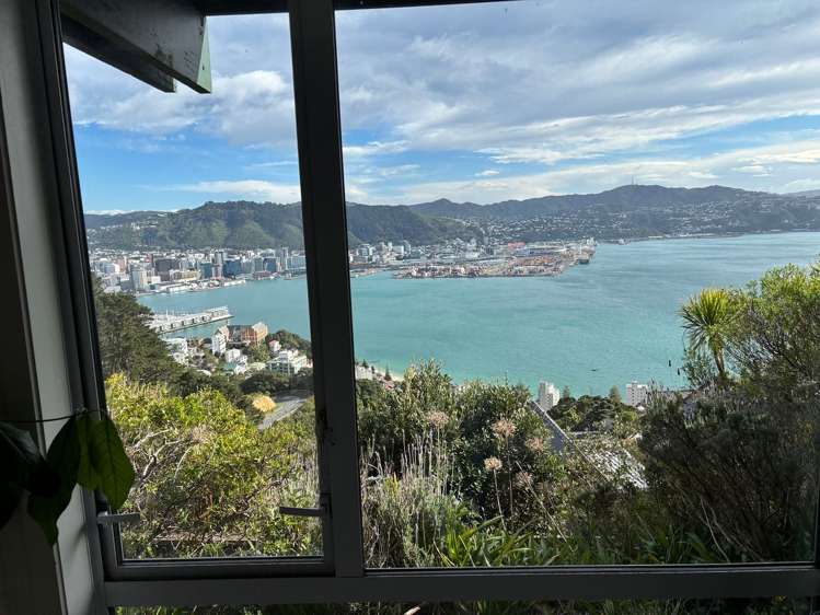 39B Robieson Street Roseneath_8