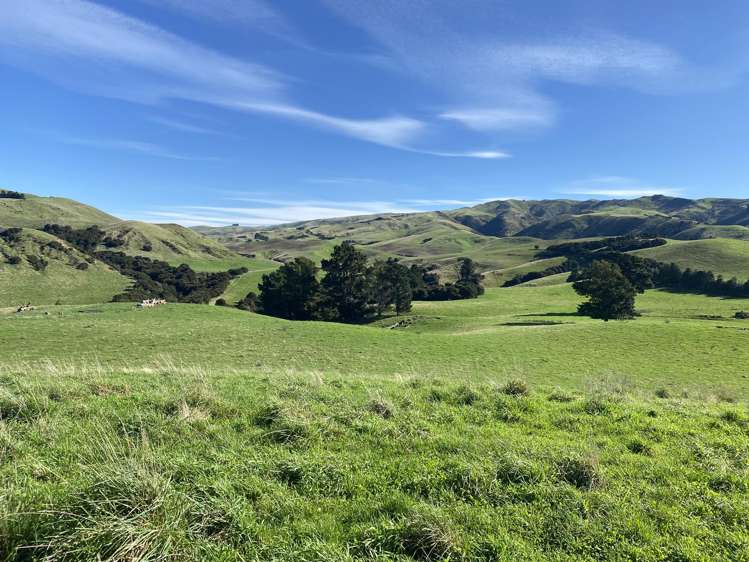 48 Heathfield Road Waipara_27