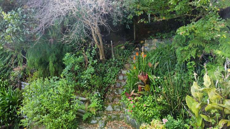 25 Creagh Street Tapu_5