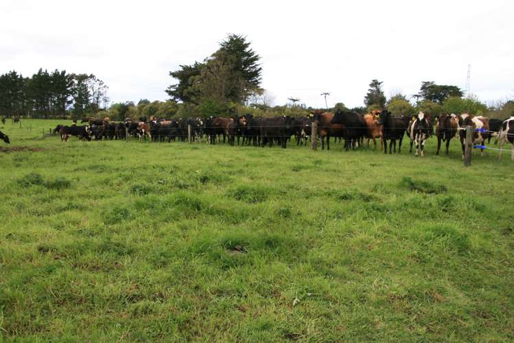 147 Monmouth Road Pembroke_16