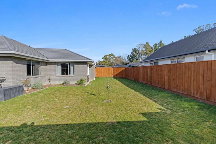 78 Turnbull Drive Witherlea_9