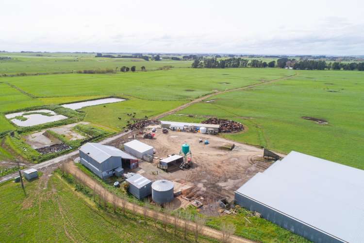 287 State Highway 1 Bulls_6